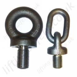 LiftingSafety Imperial Collared & Dynamo Lifting Eye Bolts - Non-swivel