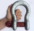 G209 12 Ton Shackle In Hand