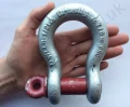 G209 6-5 Ton Shackle In Hand