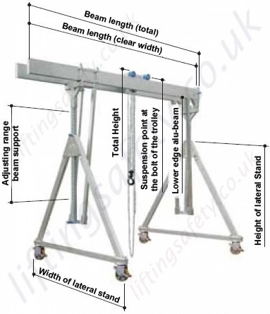 Labelled Dimensions and Features