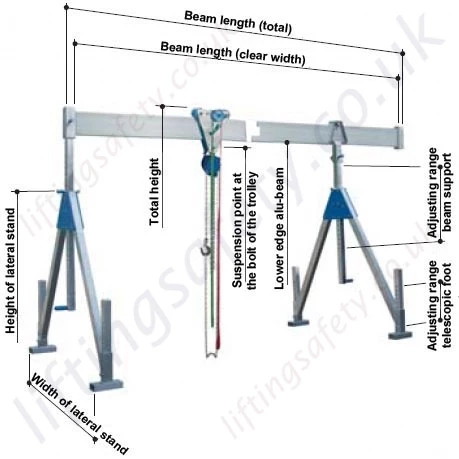 Labelled Dimensions and Features