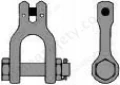 Clevis Shackle