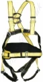 Four point harness.