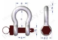 Shackle 860 Dimensions