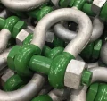 Green Pin Polar Bolt Type Bow Shackles