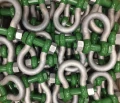 Green Pin Polar Shackles In Tote Bin