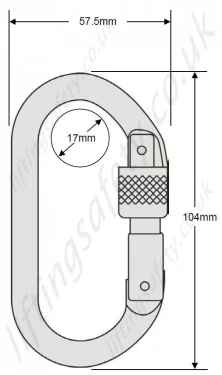 Protecta Screwgate Karabiner