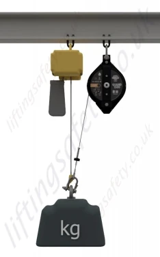 Single Hoist Load Protection 2