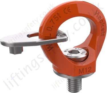 William Hackett Key Eye Swivel Lifting Point